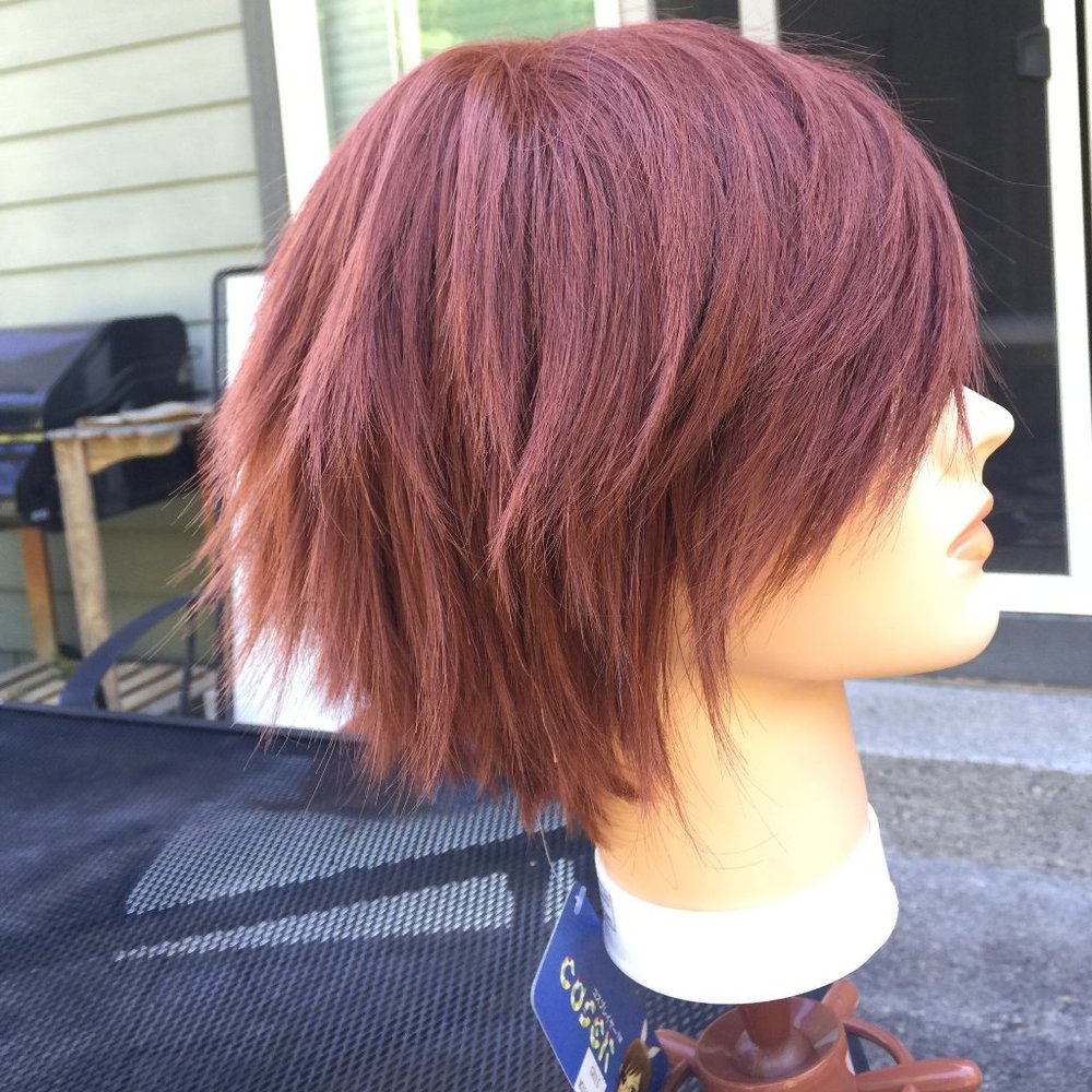 Brand New Short Brown Wig